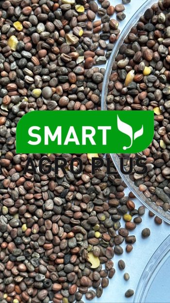 Насіння медоносних трав